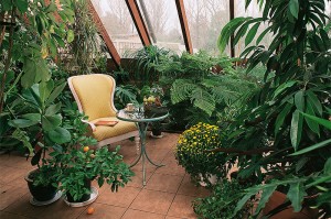 Где можно узнать как правильно ухаживать за растениями в саду