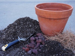 Какую почву использовать для комнатных растений?