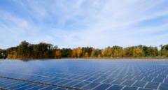 Президент России отметил, что российские солнечные панели – одни из самых лучших во всем мире!